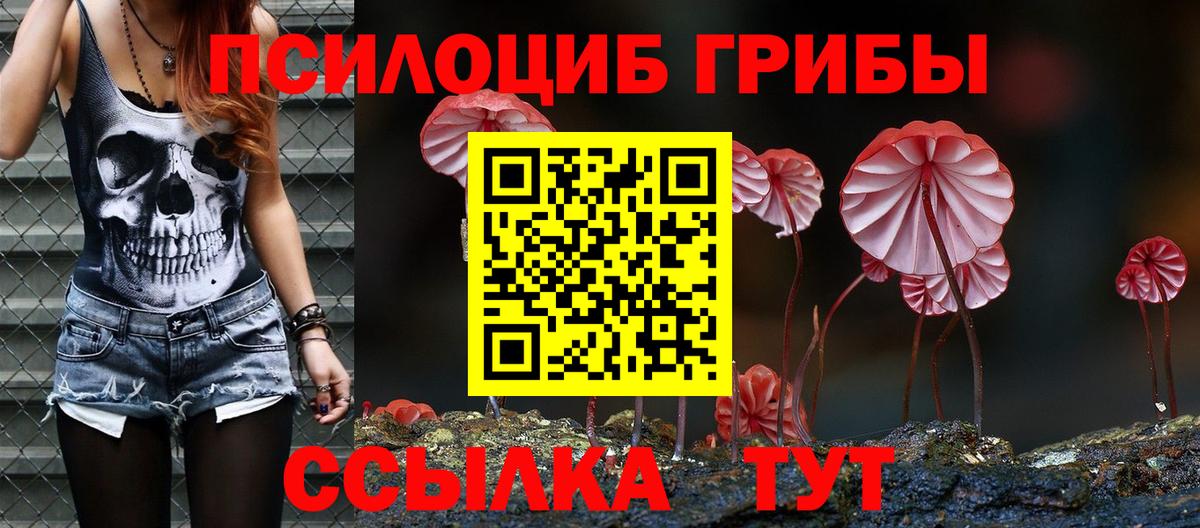 Тихорецк  Псилоцибиновые грибы Cubensis  Вход с VPN 